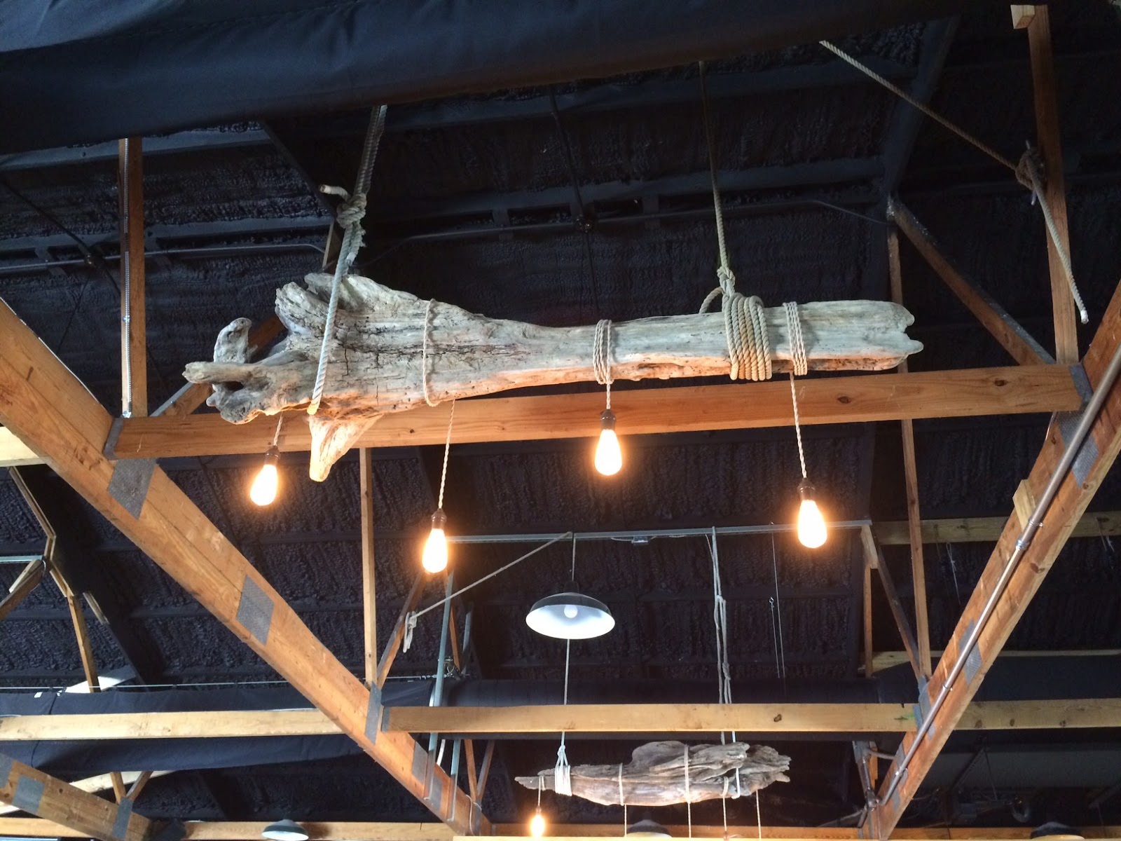 Oh Hey Low Tide Brewing Magnolia Main