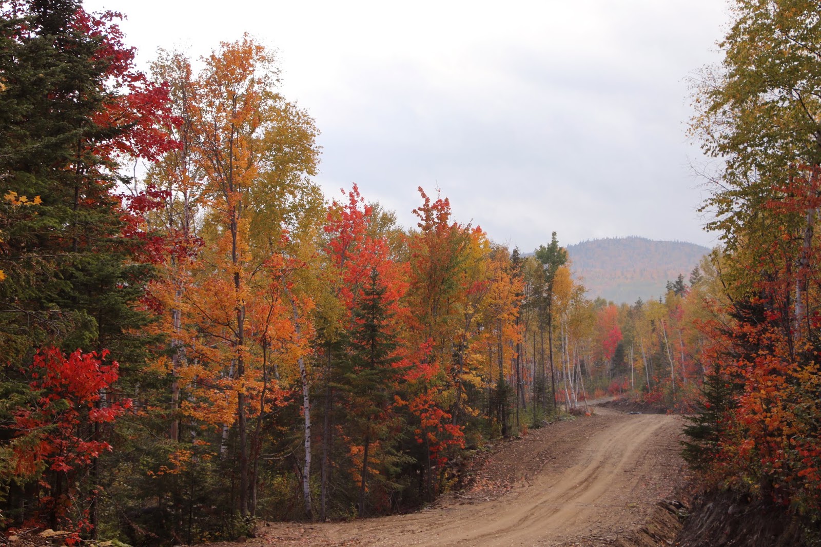 DÉFIFOTO Petite rivière St François Québec