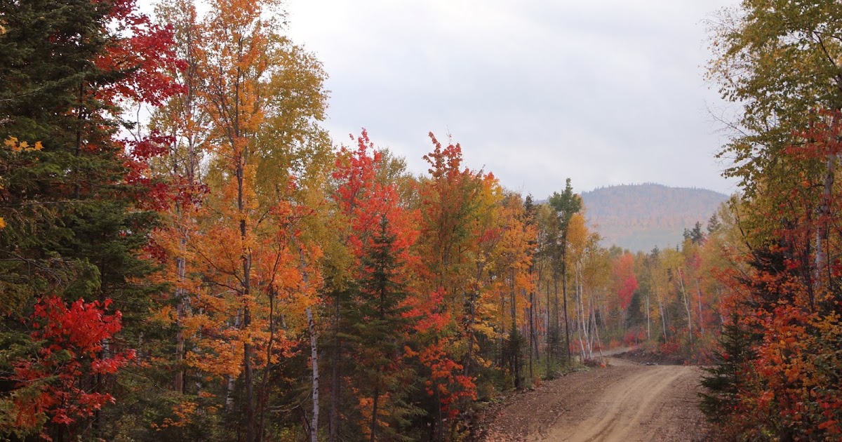 DÉFIFOTO Petite rivière St François Québec 2018
