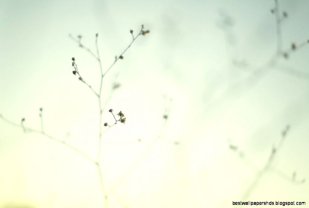 55 Brilliant Minimal Desktop Wallpapers  Stunning Feed