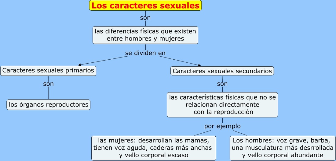 Mapa conceptual características sexuales segundarías masculinas y femeninas