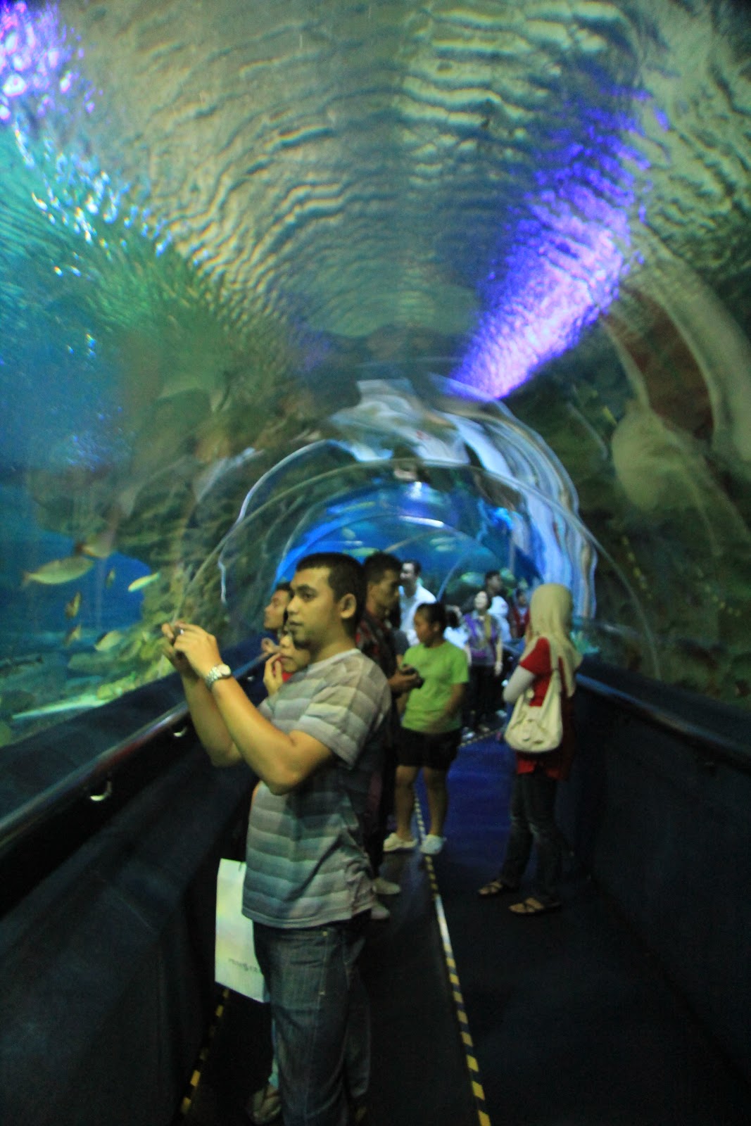 Dunia Ikan Aquaria KLCC Through My Vision