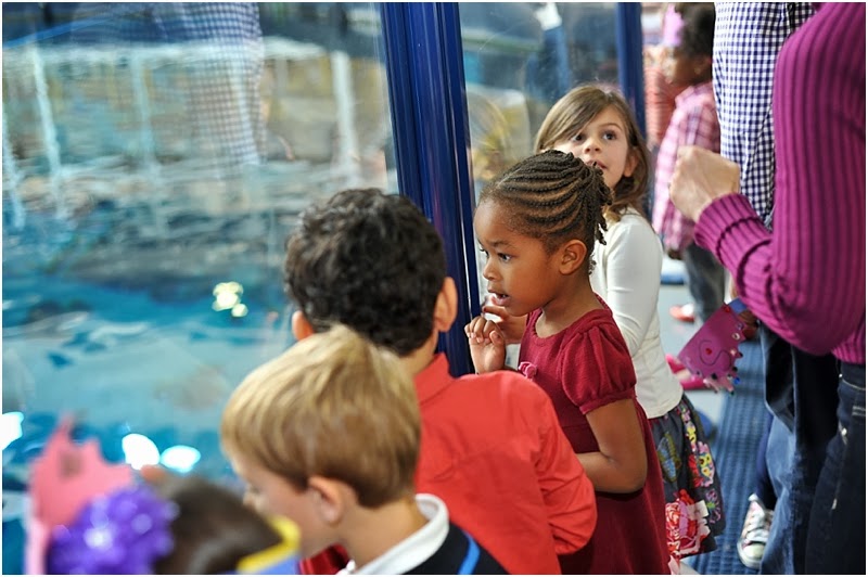 Jnelly Photography Maiya's aquatic 6th Birthday Party at the