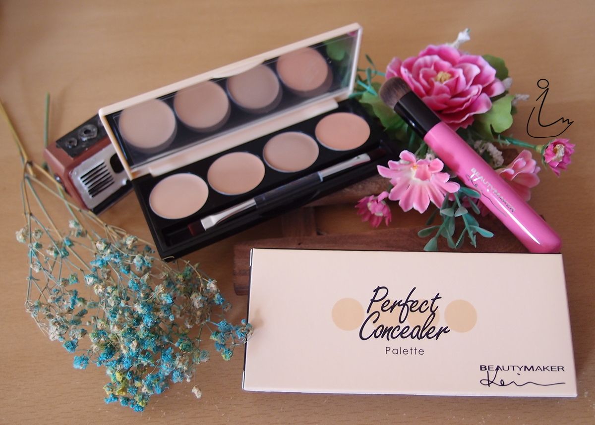 The Swanple Review BeautyMaker Perfect Concealer Palette +