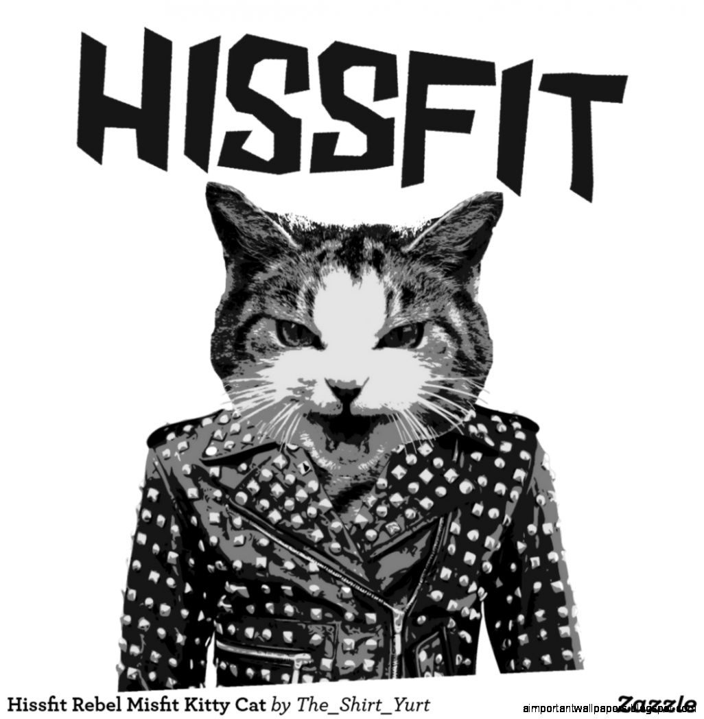 Hissfit Rebel Misfit Kitty Cat Art Photo  Zazzle