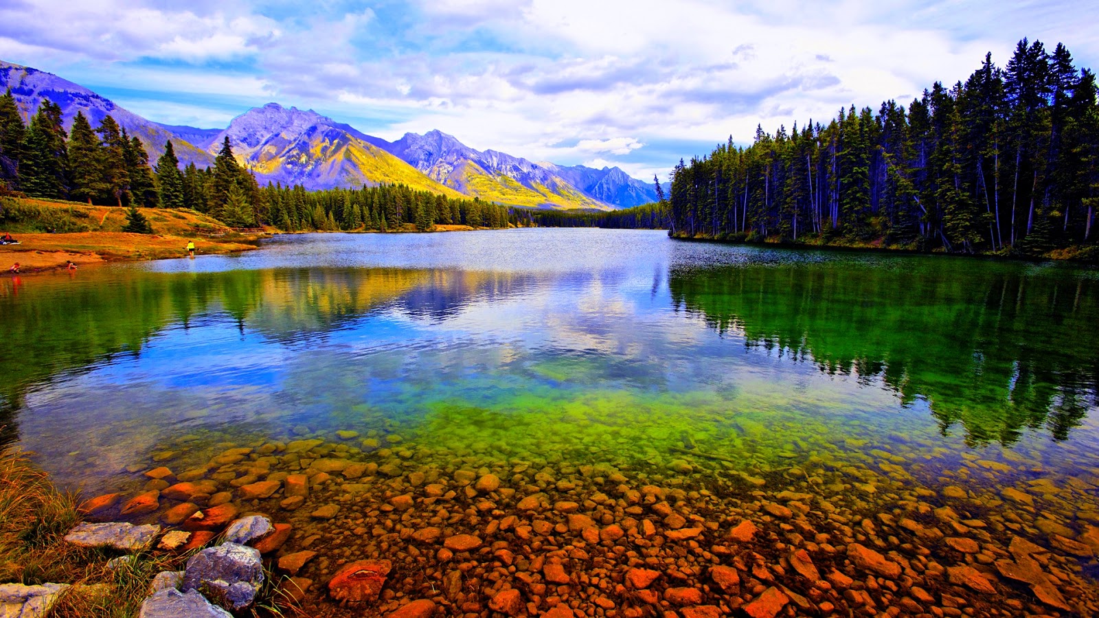 Top 100 ảnh thiên nhiên đẹp làm hình nền điện thoại Full HD 4K