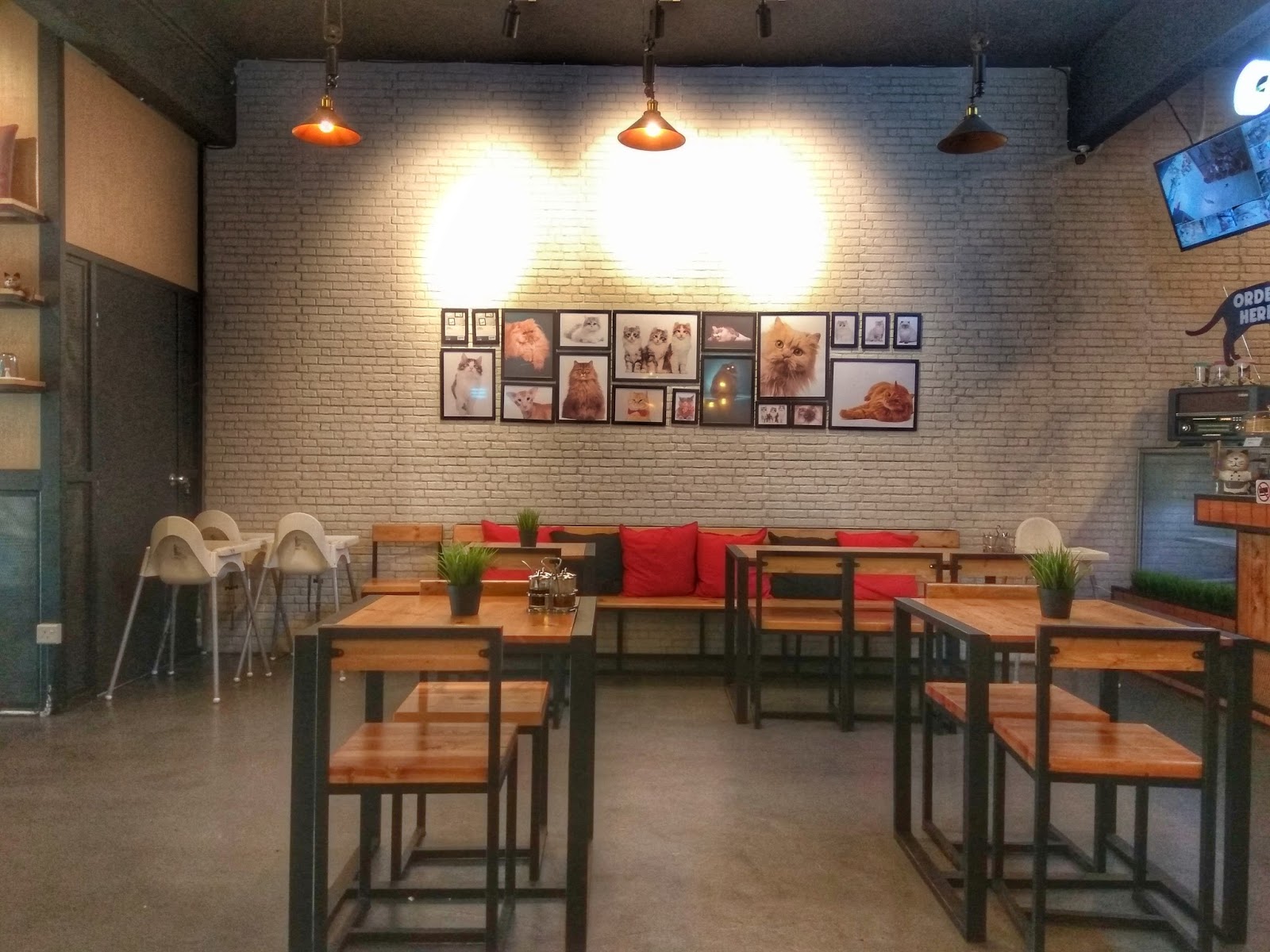Cat Cafe Bangi Cat Cafe Bangi