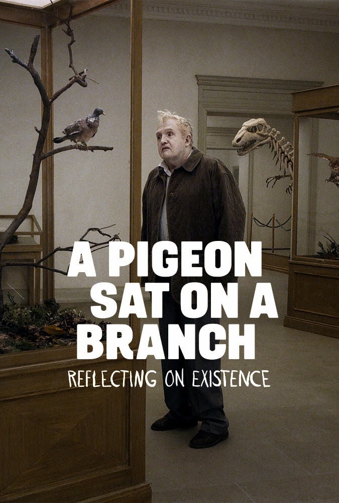 a pigeon sat on a branch reflecting on existence-insanlari seyreden guvercin