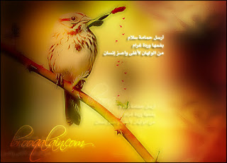 صور جميلة 2020 , اجمل صور حلوه لعام 2020 , صور رائعة جديدة صور جميلة 2020 , اجمل صور حلوه لعام 2020 , صور رائعة جديدة