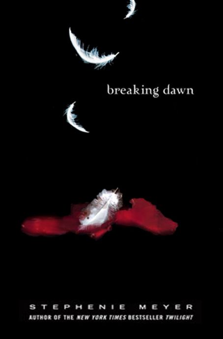 Break this down. Breaking Dawn книга обложка. Twilight Breaking Dawn book Cover. Break of Dawn надпись. Доун из книги доверься мне.