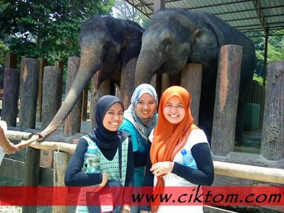 Aktiviti wajib- bergambar bersama gajah