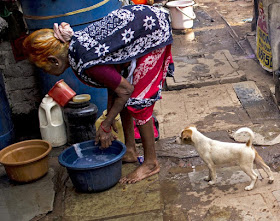 puppy, old lady, kumbharwada, dharavi, mumbai, india, street, street photography, streetphoto, 