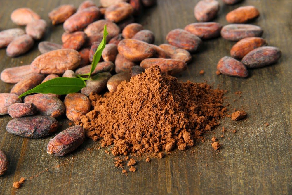 Psych News Alert Cocoaderived Flavanols Can Improve Memory and