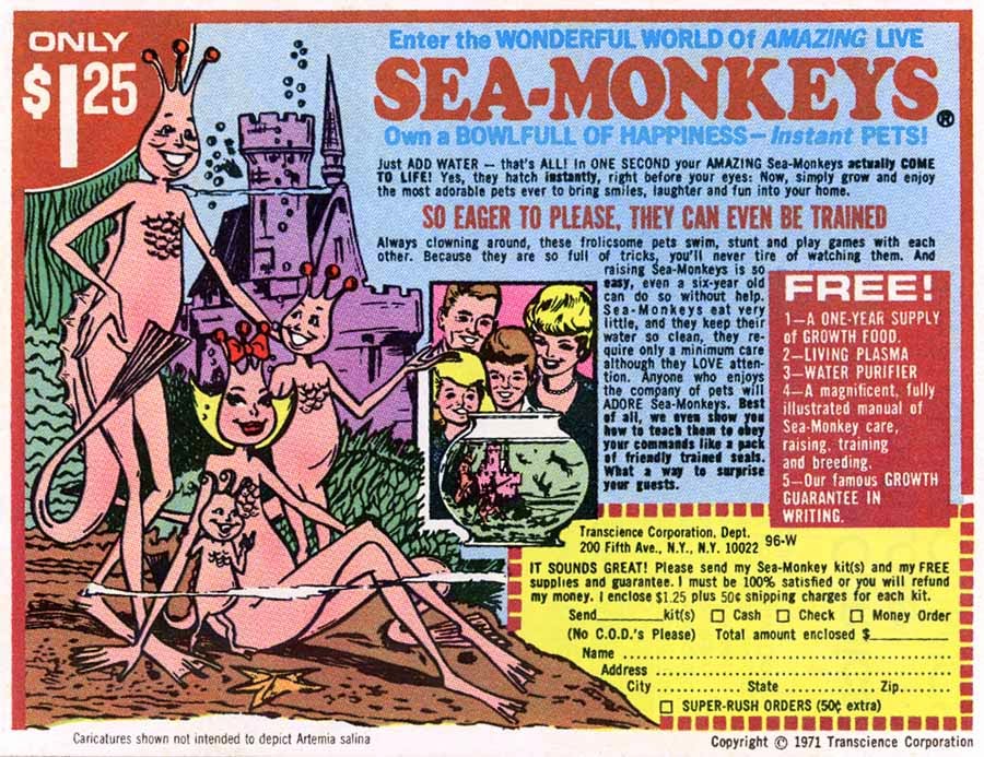 Sea-Monkeys!
