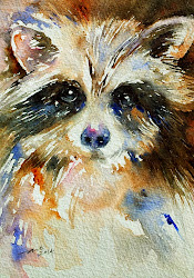 raccoon watercolor painting arti mr owl paintings animal chauhan face eyes fine artfinder artwork paintworks daily sold drawing dailypaintworks animals