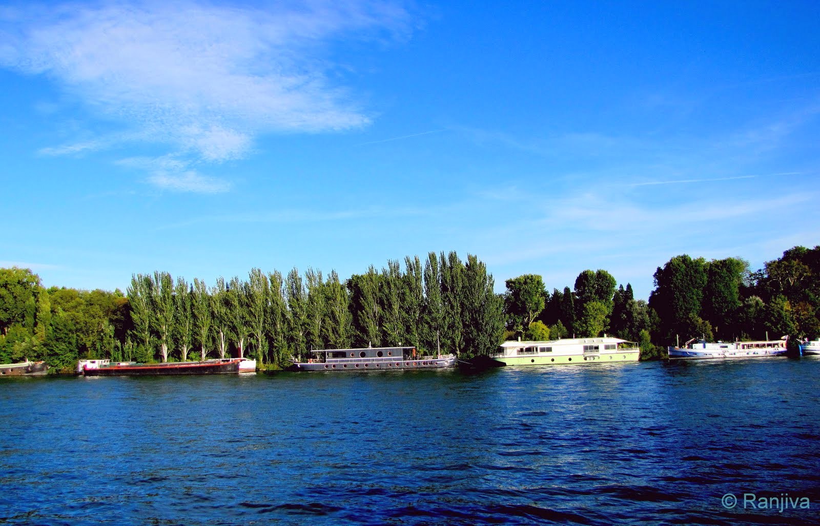 L'île de la Jatte l'île des impressionnistes... Paysages et Fleurs au fil de l'eau