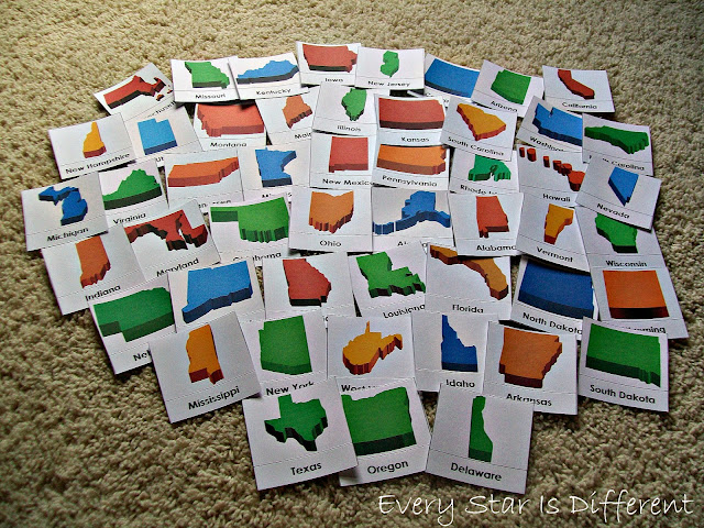 United States of America Nomenclature Cards (Free Printable)