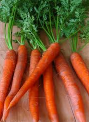 गाजर है लाभकारी