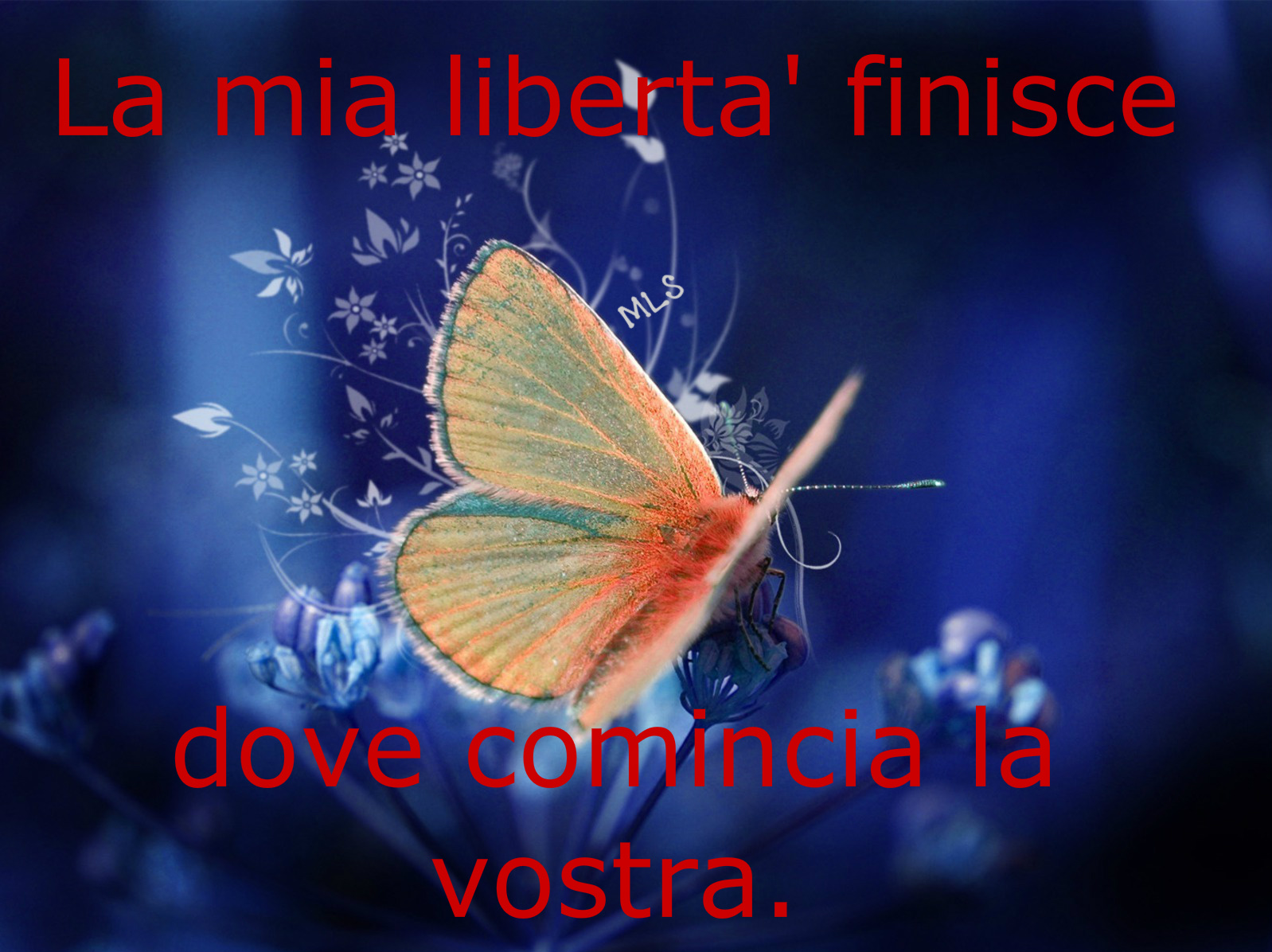 La Mia Liberta Finisce Quando Inizia Quella Degli Altri Frasi Importanti: La mia libertà finisce dove comincia la vostra