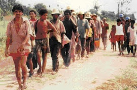 Brasil não consegue erradicar trabalho escravo