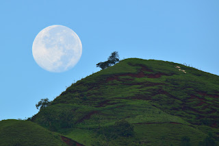 puriscal moonset