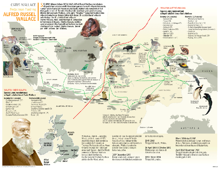 87 Gambar Wilayah Persebaran Flora Dan Fauna Di Indonesia Paling Hist 87 Gambar Wilayah Persebaran Flora Dan Fauna Di Indonesia Paling Hist