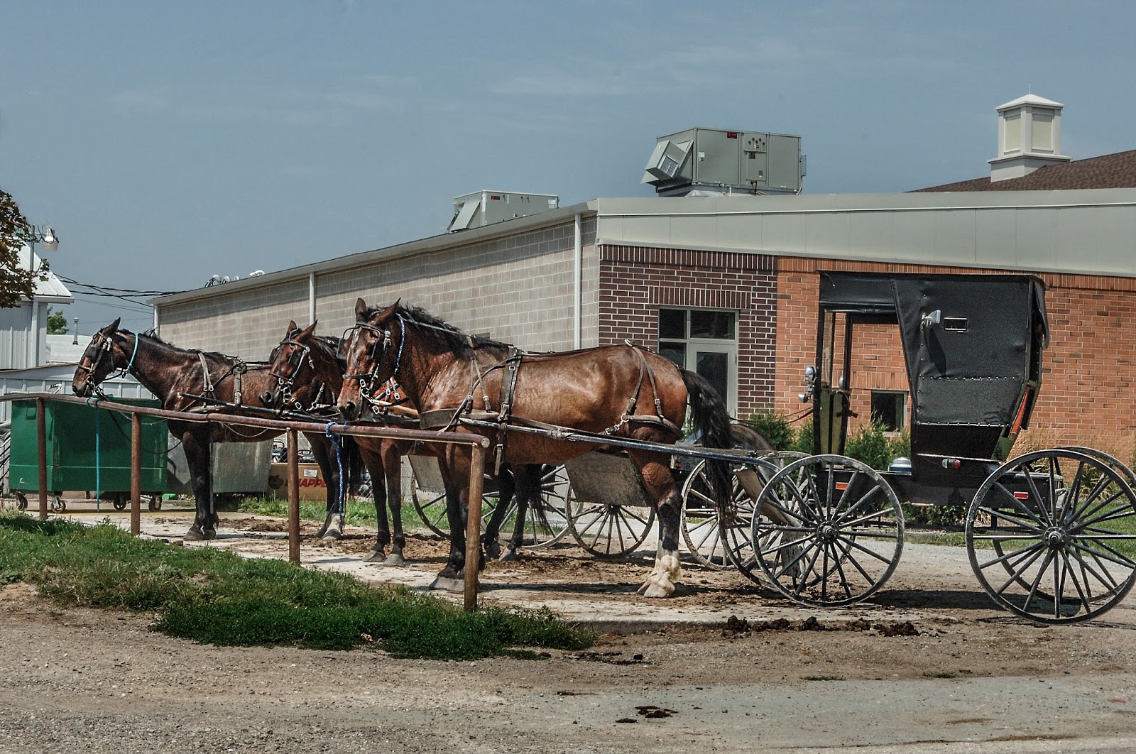 Bailey's Buddy Nostalgic Amish Life near Kalona, Iowa Photos by Bob Kellly