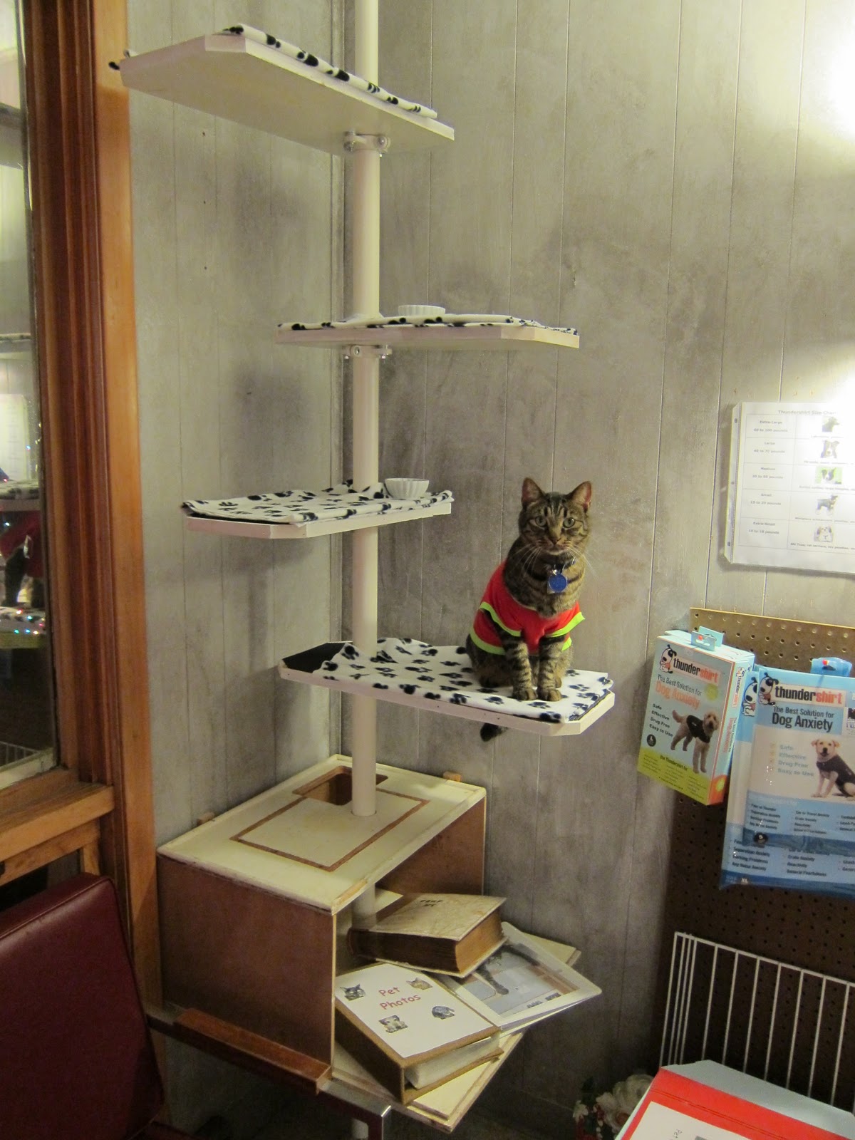 Know Your Pet Pressure fit custom cat tree