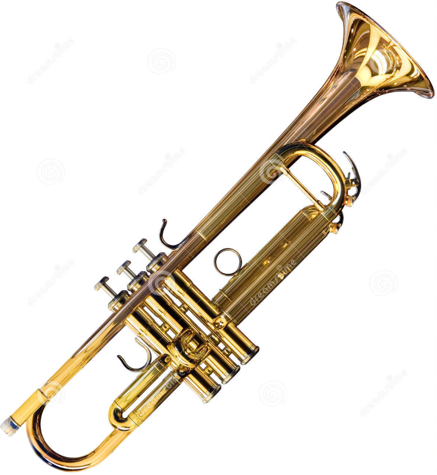 Best Musical Instrument