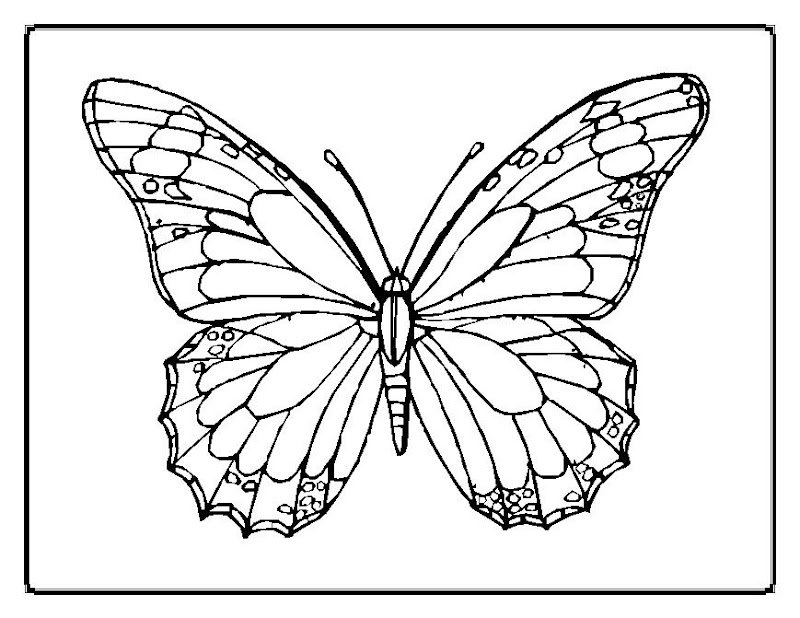 butterfly-coloring-pages00017im. title=
