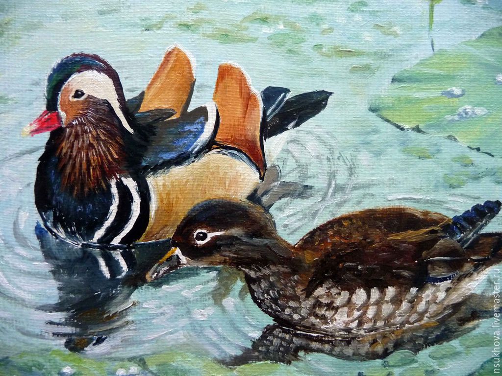 уточка рисунок. нарисовать утку фото. утка рисунок. утенок рисунок. нарисовать утку фото.