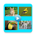 Hayvan Sesleri Android Uygulaması