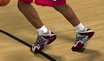 NBA 2K13 Nike LeBron 11 RGB Shoes Patch