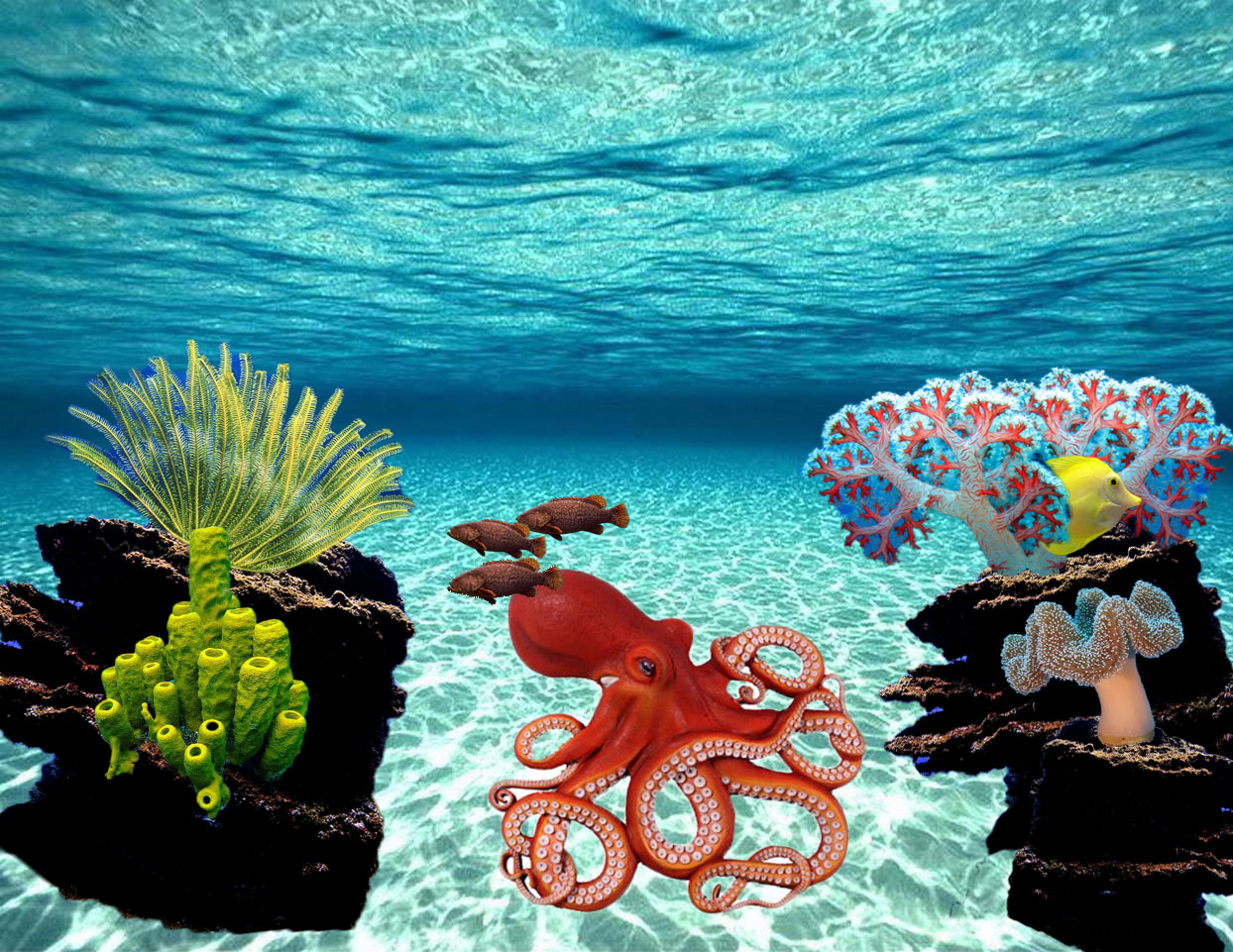 Jerdee's Art Classes Digital Art Underwater Ocean Scene
