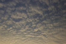 sky, skywatch, clouds, bandra east, mumbai, india, bird, 