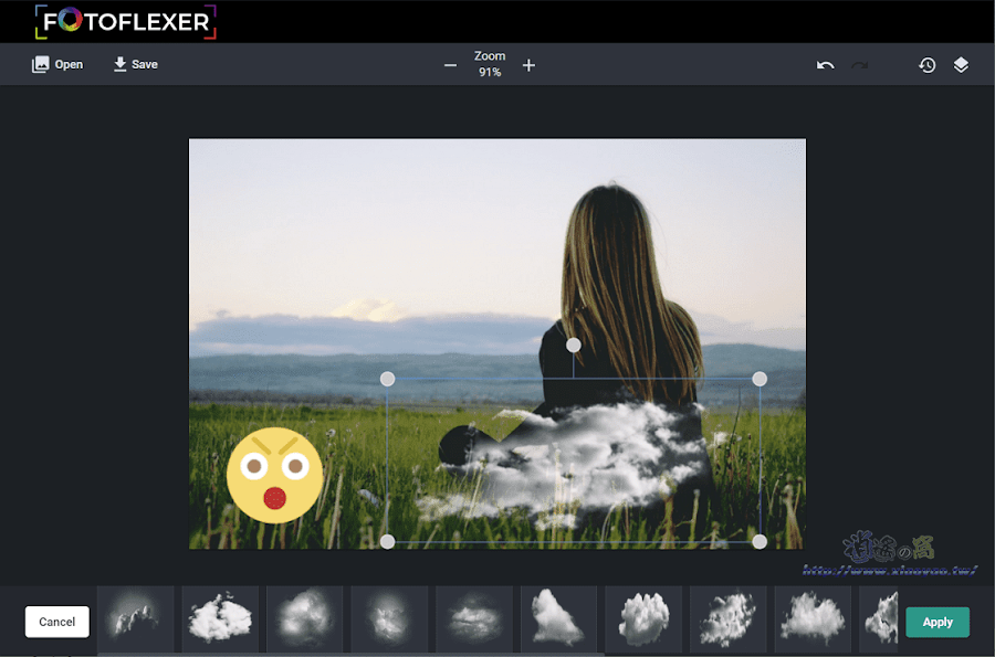FotoFlexer 免費線上圖片編輯器