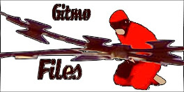 Gitmo-Files