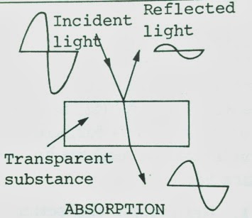 absorption image illustration