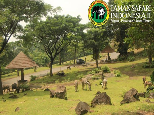 Harga Tiket Masuk Taman Safari Prigen Terbaru 2018 - Daftar Harga