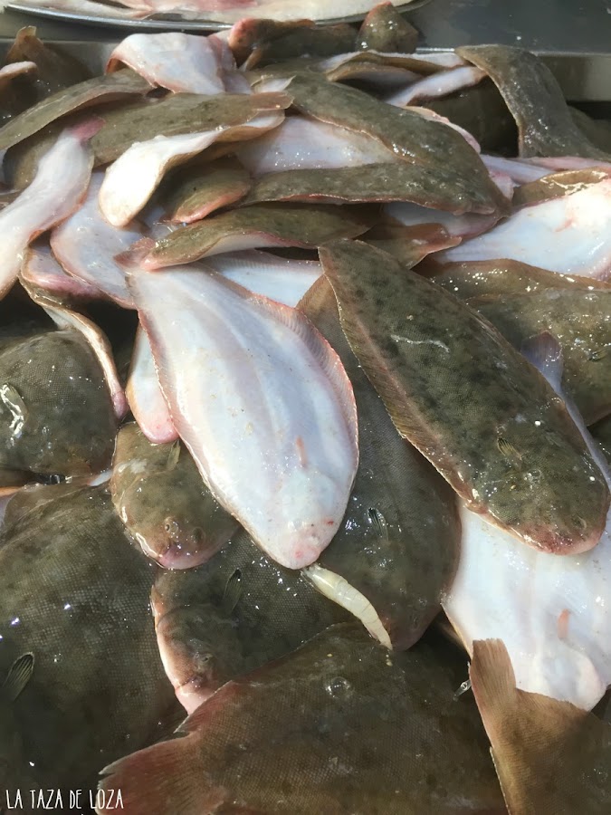 lenguados-de-estero-del-Manguita-en-Chiclana-de-la-Frontera