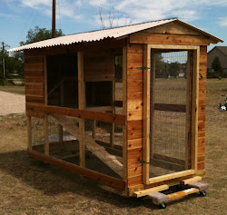 coop chicken super coops awesome rabbit ty condo turned wanted customer into