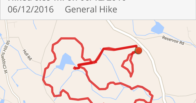 GranWood Explores: Hike #32: Sessions Woods WMA - Burlington, CT