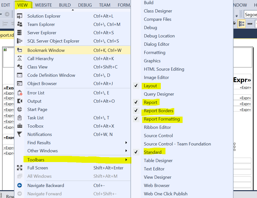 RDLC Report Design Basic Setup in Visual Studio
