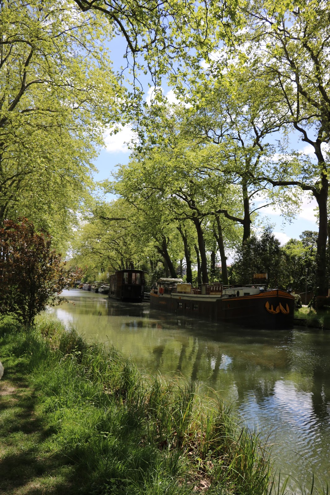 Voyage Zero Dechet Toulouse Lily Fairly