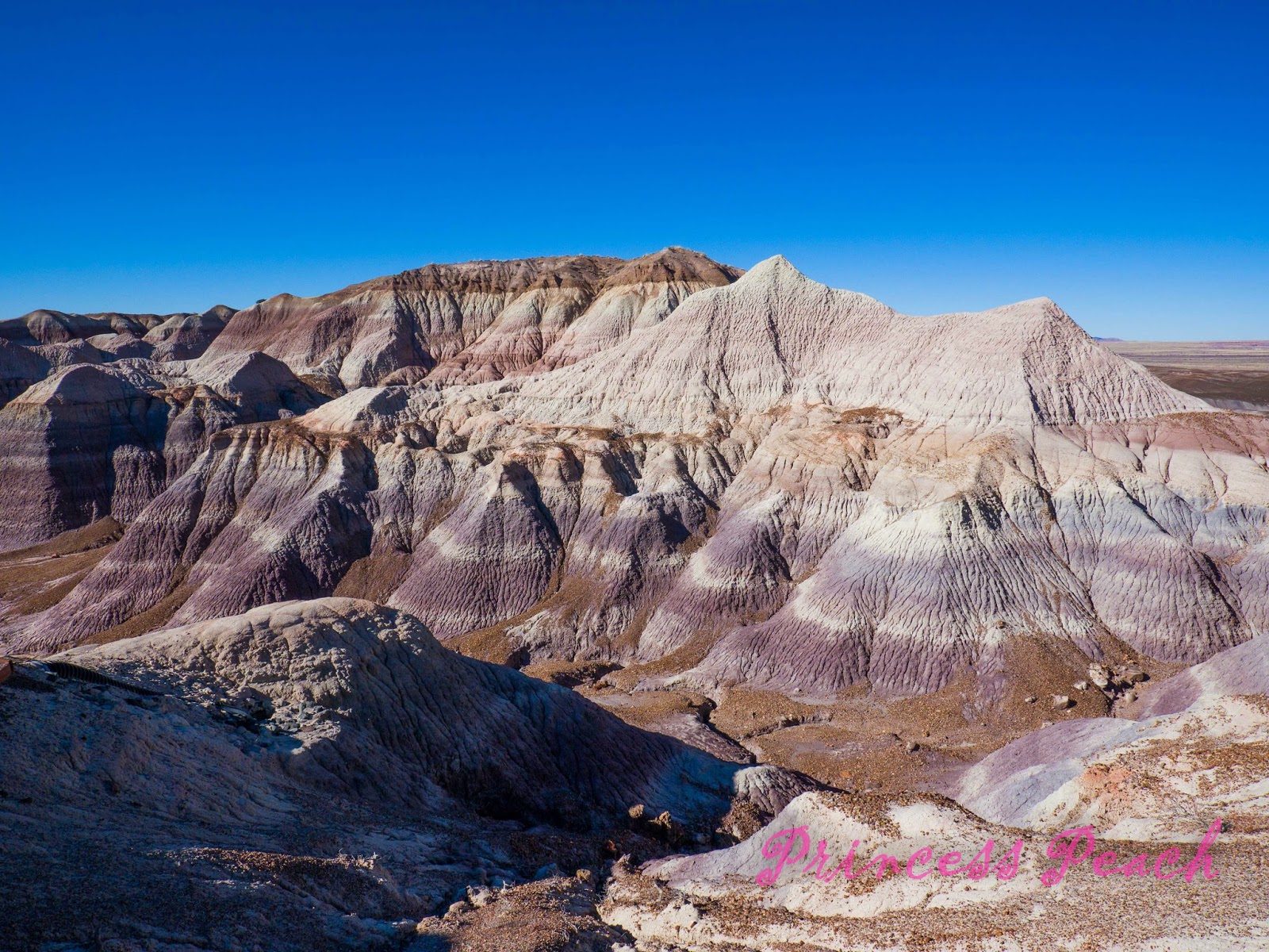 Petrified-Forest-National-Park-石化森林國家公園-Badlands