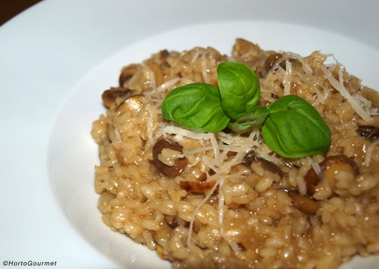 Risotto de setas HortoGourmet