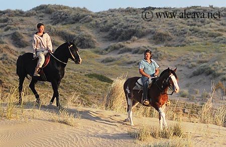 Hourse ride in Puerto Pirámides