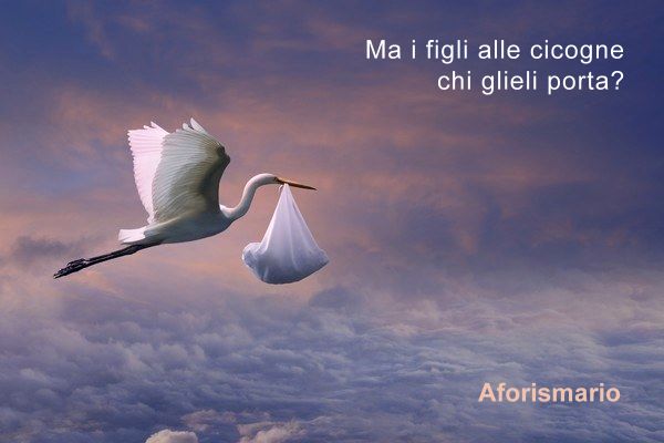 Aforismario Aforismi Frasi E Citazioni Sulla Cicogna