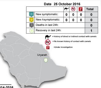 Avian Flu Diary: Saudi Arabia: Confusing Reports Of A MERS Cluster At ...