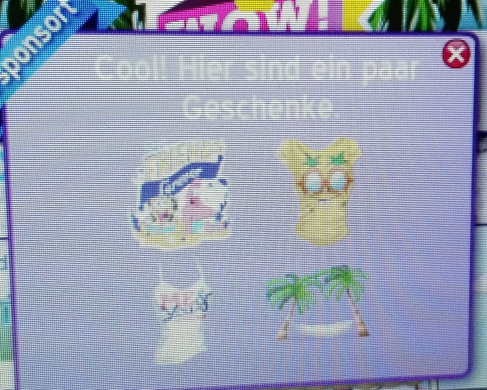 Zwariowane Msp 2016